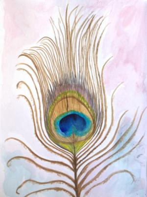 Peacock Feather Peacock Feather