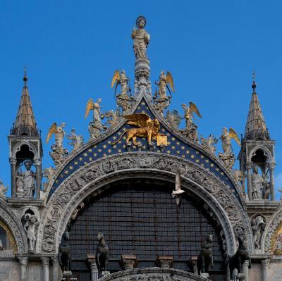 Seagull and St. Mark's 