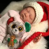 Reborn Baby Girl ~ Sasha ~ ADOPTED/SOLD