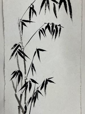 Bamboo cluster  sumi ink on Nujabi paper