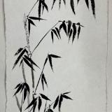 Bamboo cluster  sumi ink on Nujabi paper