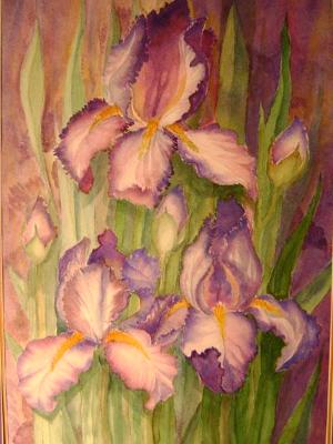 Irises Last Dance ~ Watercolor ~ 22X28