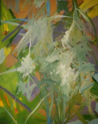 Morass Flora