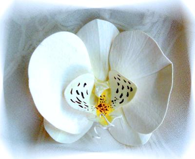 White Phalaenopsis Pin White Phalaenopsis Pin
