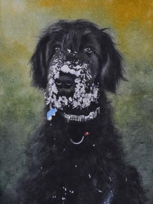 Custom portrait of a dog, 35cm x 50cm, 2019