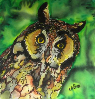 Long-eared Owl on Silk Long-eared Owl on Silk