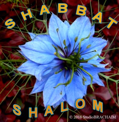 Shabbat Shalom