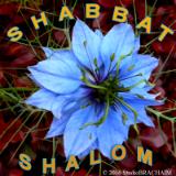 Shabbat Shalom