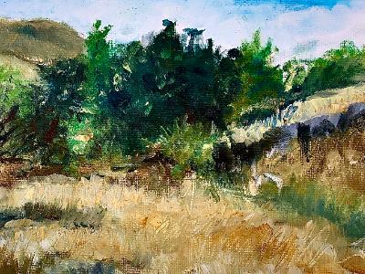 Foothills East County San Diego