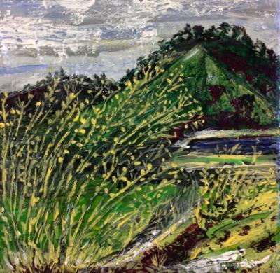Landscape Landscape