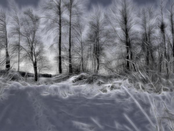 Swirly Trees