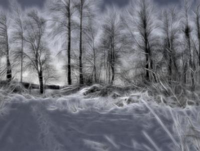 Swirly Trees Swirly Trees