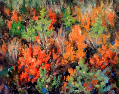 A Symphony of Colors A Symphony of Colors