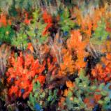 A Symphony of Colors 