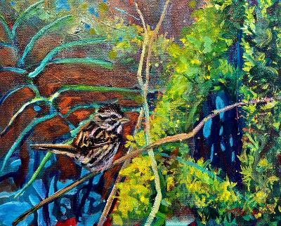Swamp Sparrow Swamp Sparrow