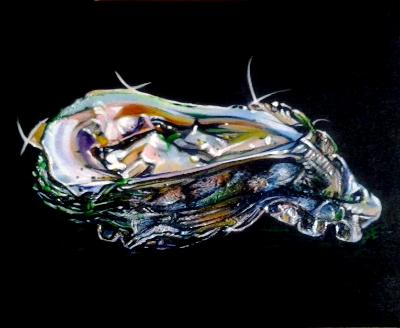 Oyster Oyster