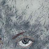 Voyeur, 2004