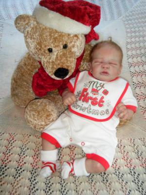 Christmas 2016 Show entry: Quinnlyn (S.R)