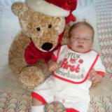 Christmas 2016 Show entry: Quinnlyn (S.R)