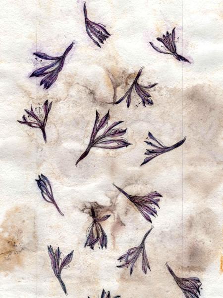 Falling Stars