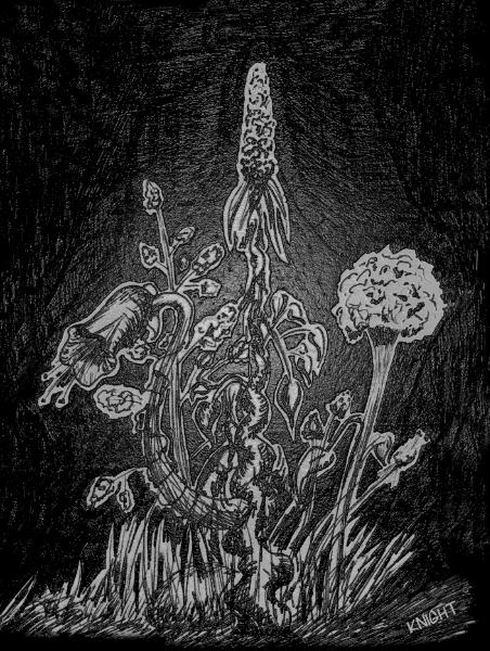 Magic Garden