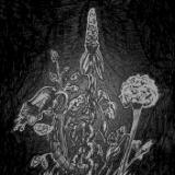 Magic Garden