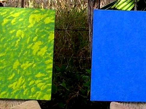 Baja Color Fields