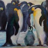 Birds and Wildlife