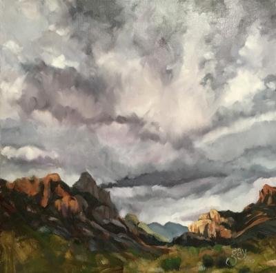 Monsoon in Cave Creek Canyon