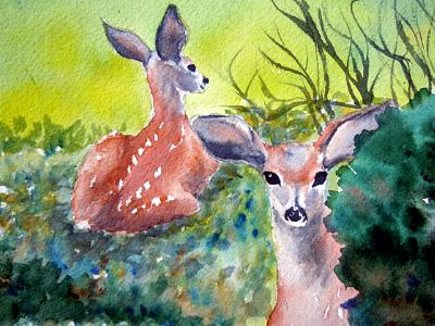 Fawns