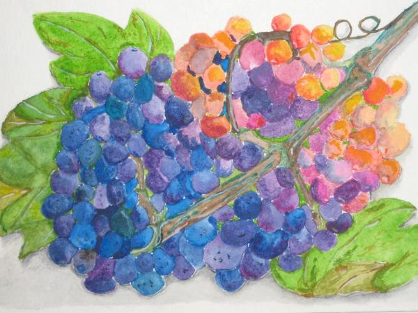 Luscious Grapes