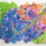 Luscious Grapes