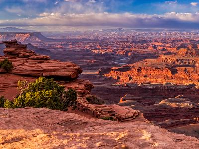 Juniper Tree Dead Horse Point River Panorama (Click for full width) Juniper Tree Dead Horse Point River Panorama (Click for full width)