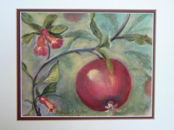Pomegranite and Blooms