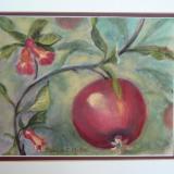 Pomegranite and Blooms