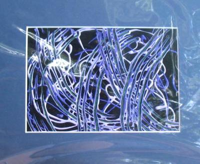 mini 8x10 matted mini 8x10 matted