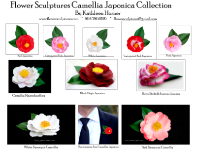 Camellia Collection Camellia Collection