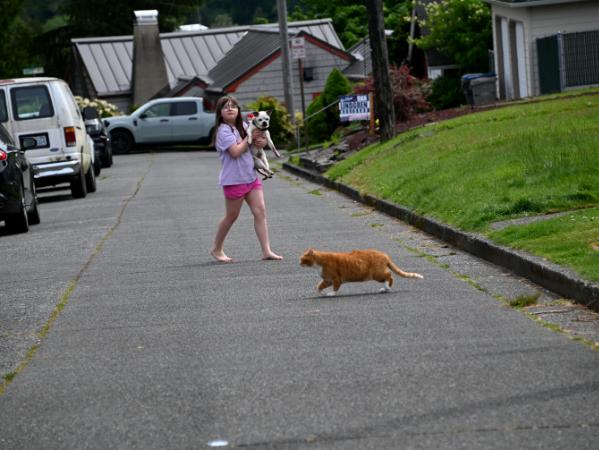 Girl with Pug and Cat