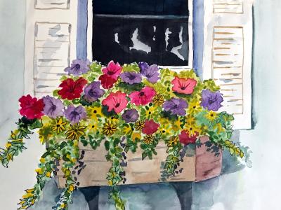 Window Box Window Box