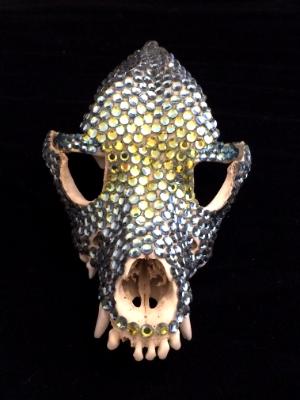 Fox Skull - Sold Fox Skull - Sold