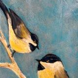 Chickadees