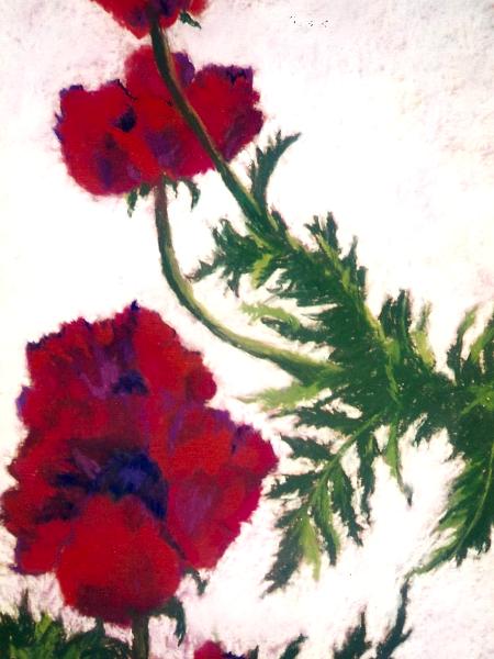 # 89 Red Flowers on White (sold)