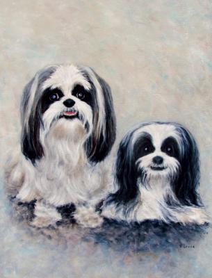 Cricket n Benjamin Cricket n Benjamin