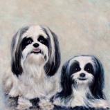 Cricket n Benjamin
