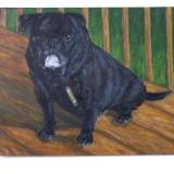 Dogs Portrait Painting