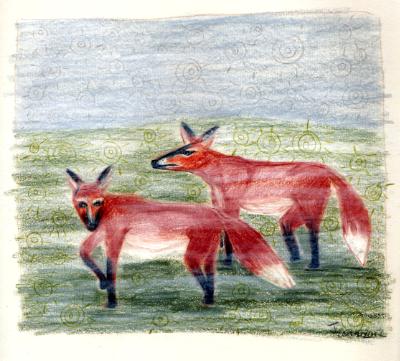 fox mist fox mist