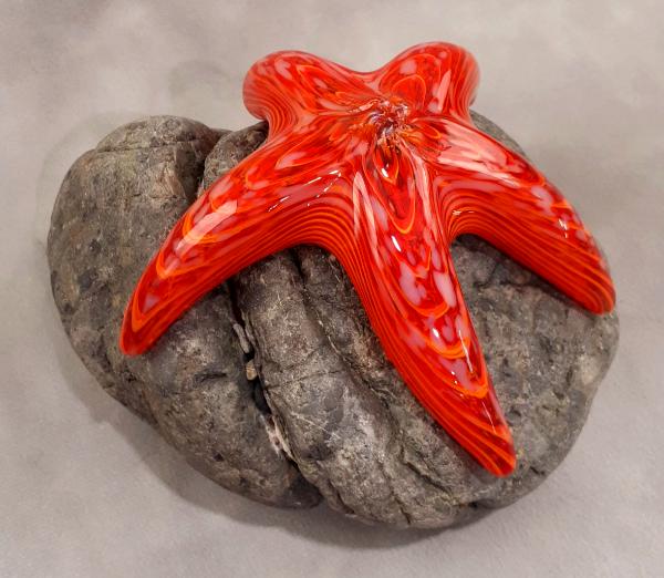 #10262623 Starfish on rock 3.75''HX6.5''WX5''D $150.00