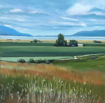 Skagit View Skagit View