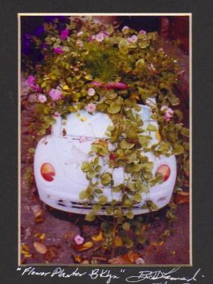 Brooklyn "Flower Planter" Brooklyn "Flower Planter"