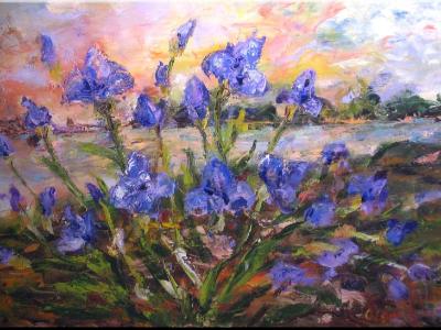 Irises Irises